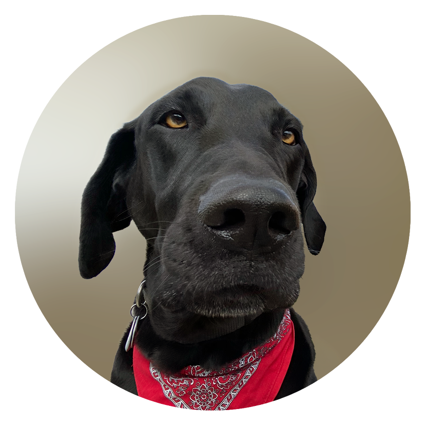 Oscar